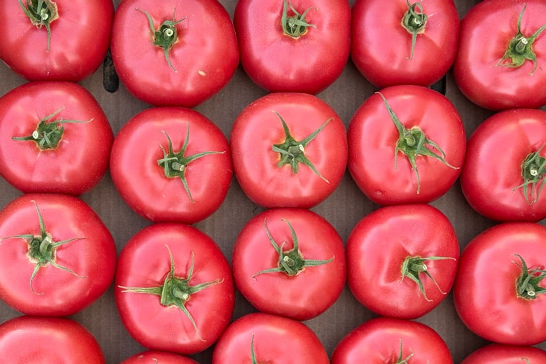 Розовые томаты VegIT, ровные ряды в коробке
