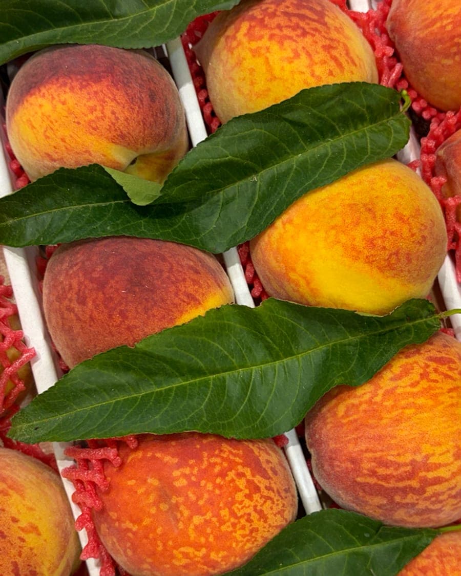 Персики VegIT