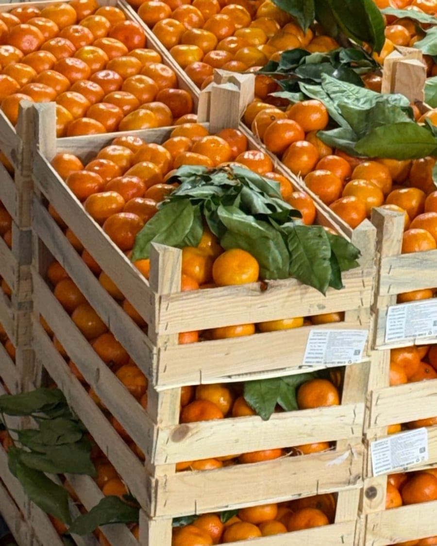 Ящики с мандаринами VegIT