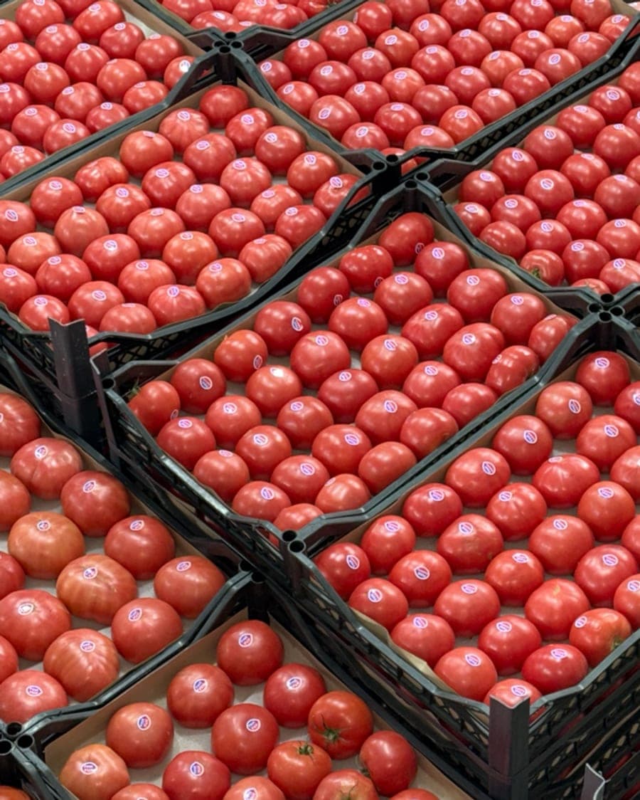Ящики с томатами VegIT
